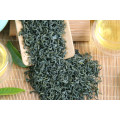 China Supplier Packing No Pollution Fine China Teas Organic Biluochun Green Tea